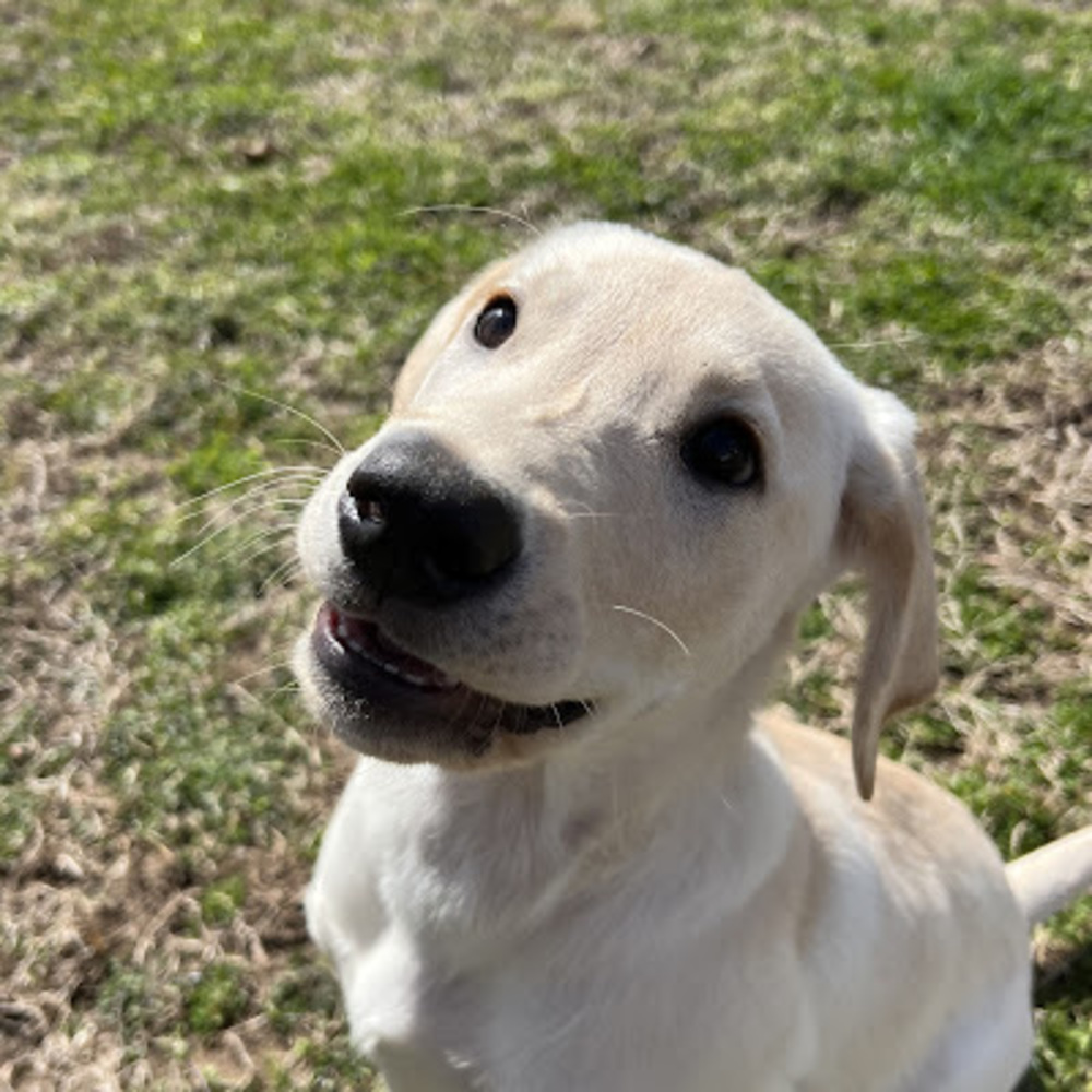 Meet your Posher, Mindfuel